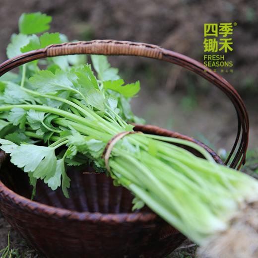 芹菜（400g）【老品种芹菜】因季节原因，不用化肥的叶菜会略带苦味哦！ 商品图0