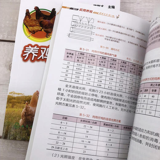 现代实用养鸡技术大全 第二版 一本看了就能养好鸡的书 养鸡入门一本通 全书彩色印刷 养鸡技术 鸡场疾病的防治技术 鸡场经营管理 商品图4