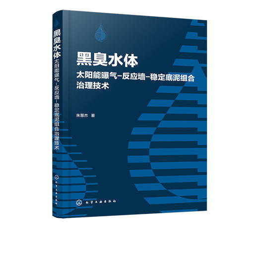 正版 黑臭水体太阳能曝气 反应墙 稳定底泥组合治理技术 黑臭水体成因及危害治理技术发展概况黑臭水体底泥稳定剂研究现状应用书籍 商品图5