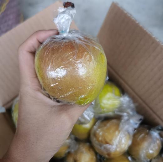 【时令鲜果 季节限定】山西隰县玉露香梨 鲜脆香甜 商品图0