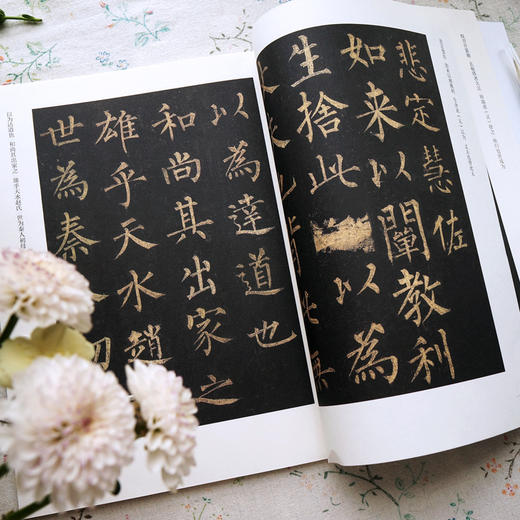 十大楷书名帖放大临摹本 柳公权玄秘塔碑 经典楷书书法字帖临摹放大本 毛笔字帖技法入门自学教材 经典楷书书法名帖临摹鉴赏书籍 商品图3