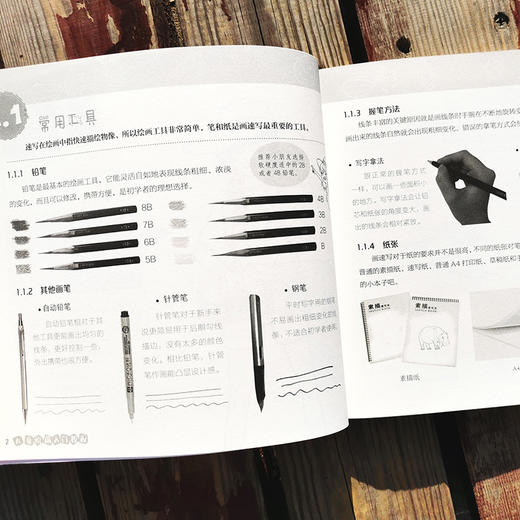 儿童绘画入门教程 速写 儿童零基础自学速写教材画谱 动物花鸟蔬果山水画法 少儿学铅笔画基础技法教材书 中国速写传统绘画教程书 商品图3
