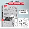 钻石版 乔治伯里曼人体结构绘画教程 人体结构速写素描绘画艺术教学 人物速写入门基础绘画临摹书籍 素描学习基础美术艺术手绘教材 商品缩略图5