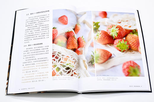 美食摄影笔记餐桌上的日常 手机摄影 短视频剪辑摄影书籍入门教程中华料理法式甜品日式和食美食快餐美食摆盘造型制作流程拍摄技巧 商品图2
