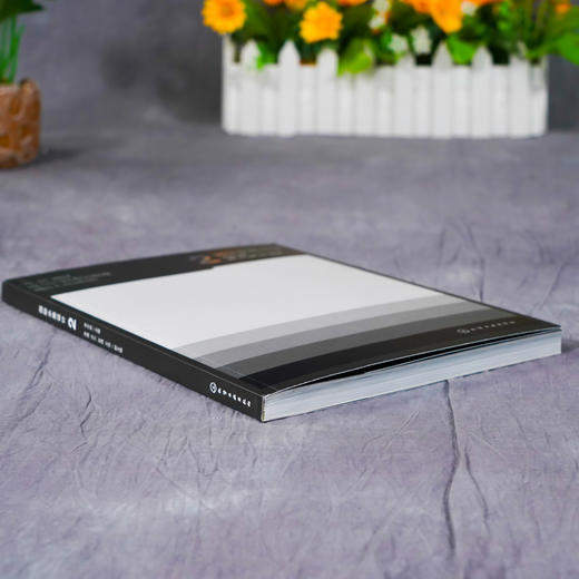 国际水墨设计 2 李中扬 国际水墨设计展优秀作品 东方传统水墨文化设计 视觉设计空间设计水墨艺术 国际水墨设计展入围作品鉴赏书 商品图3