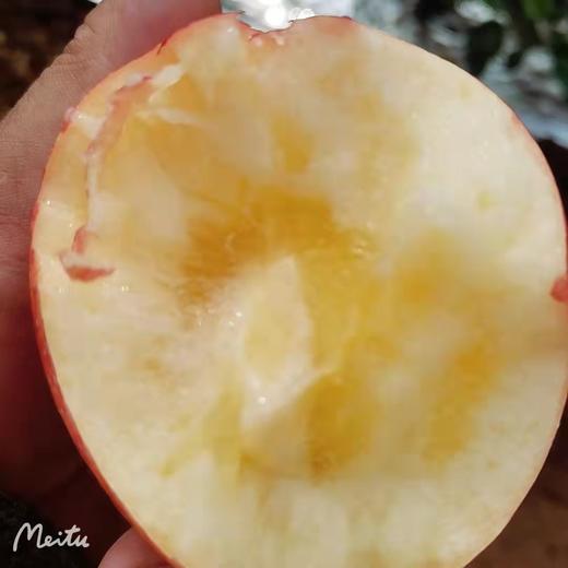 【一件代发】寺河山苹果 商品图5