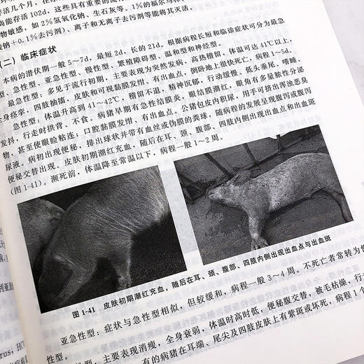 常见动物疫病实验室检测汇编 动物疫病实验室检测指导书?动物养殖中病毒病实验室检测方法 动物防疫实验室生物安全管理应用书籍 商品图4