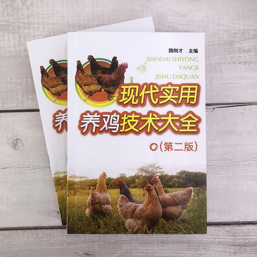 现代实用养鸡技术大全 第二版 一本看了就能养好鸡的书 养鸡入门一本通 全书彩色印刷 养鸡技术 鸡场疾病的防治技术 鸡场经营管理 商品图2
