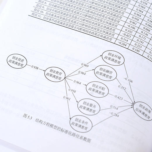 辽宁省大学生创业政策研究 基于政策文本和政策满意度的分析 创业型企业 大学生创业政策效果 辽宁省政府明确政策向度应用参考书籍 商品图2