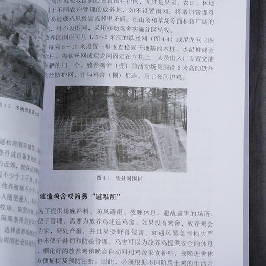 土鸡生态放养实用技术 李连任 土鸡生态养殖放养模式 散养鸡快速生产 土鸡品种选择 土鸡养殖从业人员养鸡户相关院校师生参考书 商品图4