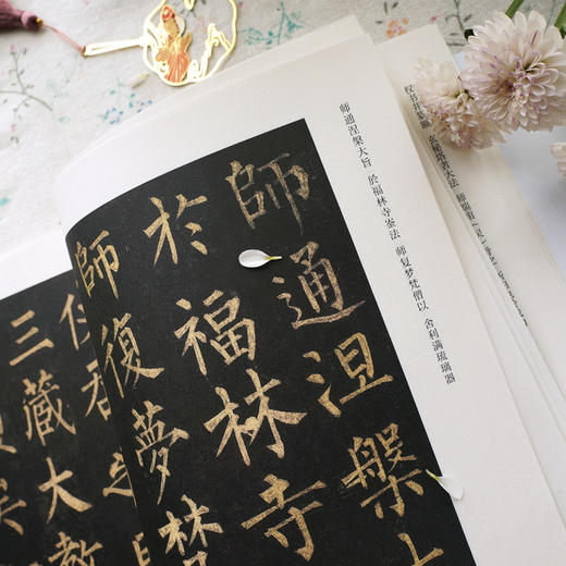 十大楷书名帖放大临摹本 柳公权玄秘塔碑 经典楷书书法字帖临摹放大本 毛笔字帖技法入门自学教材 经典楷书书法名帖临摹鉴赏书籍 商品图4