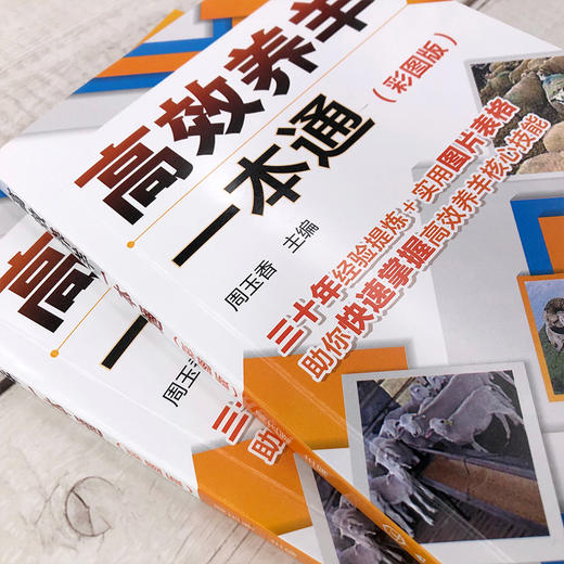 高效养羊一本通 彩图版 肉羊养殖书籍种草养羊技术 羊饲料原料加工贮藏及饲喂方法羊生产规划选种选配繁殖产羔管理饲养管理书籍 商品图3