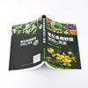 常见食用野菜300种图鉴 地上茎叶类地下根茎类食花类调味类食果类野菜名称科属分类识别特征鉴别技巧应用书 常见食用野菜一本通 商品缩略图3