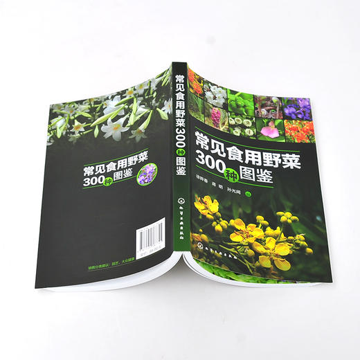 常见食用野菜300种图鉴 地上茎叶类地下根茎类食花类调味类食果类野菜名称科属分类识别特征鉴别技巧应用书 常见食用野菜一本通 商品图3