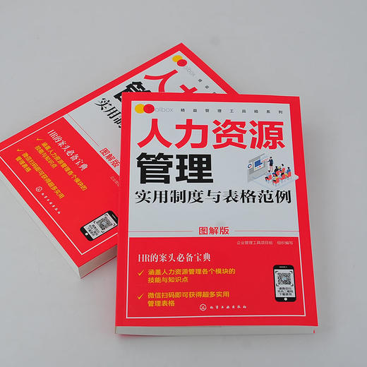 精益管理工具箱系列 人力资源管理实用制度与表格范例 图解版 HR入门案头书绩效考核薪酬管理 绩效考核薪酬激励精细化设计人事书籍 商品图3