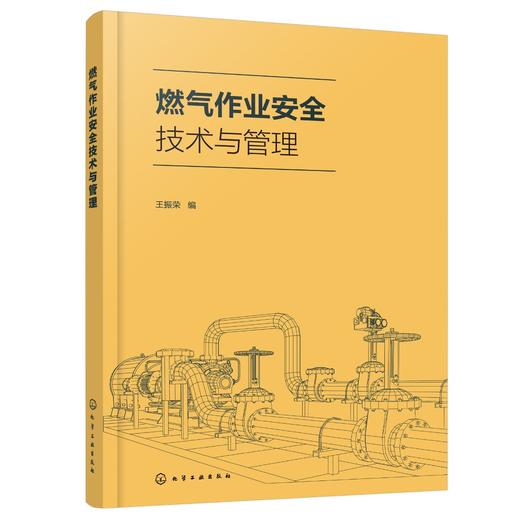 燃气作业安全技术与管理 煤气生产使用储存安全操作流程 新工艺新设备新安全操作方法 新安全管理方法 现代冶金焦化生产工艺流程书 商品图0