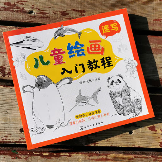 儿童绘画入门教程 速写 儿童零基础自学速写教材画谱 动物花鸟蔬果山水画法 少儿学铅笔画基础技法教材书 中国速写传统绘画教程书 商品图2