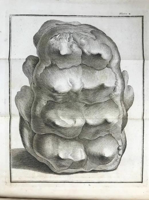 1812年 布封自然史（全20卷） 数百幅原品版画插图 全真皮精装大32开 商品图8