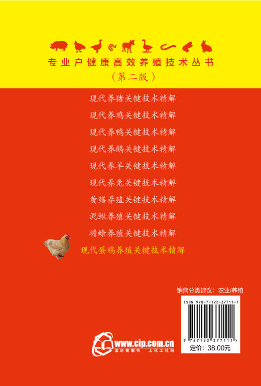现代蛋鸡养殖关键技术精解 专业户健康高效养殖技术丛书 蛋鸡养殖孵化饲养疾病防治 蛋鸡养殖场建设管理 养殖专业户养鸡场参考书 商品图1