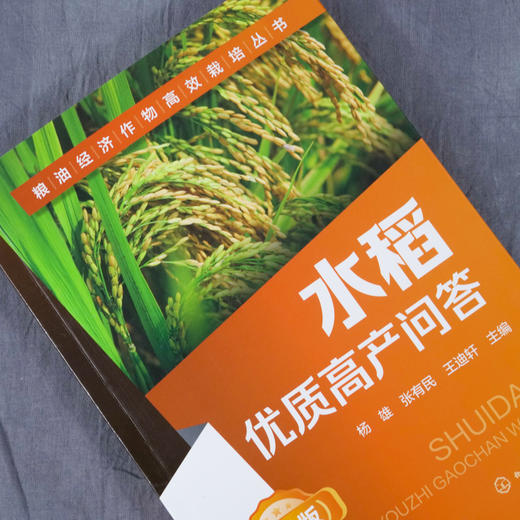 粮油经济作物高效栽培丛书 水稻优质高产问答 第2二版 水稻高效栽培种植技术大全 科学种植水稻书籍 水稻病虫害诊断 商品图2