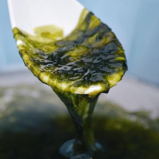 福建霞浦  特级 有机头茬紫菜 商品图0