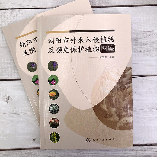 朝阳市外来入侵植物及濒危保护植物图鉴 国家保护植物名录 植物监测调查表格及规程 入侵植物 濒危保护植物 野生植物资源参考书籍 商品图2