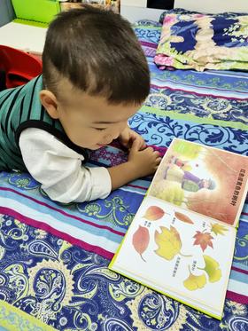 《234能力养成小百科》：昨天看了春夏，今天来读秋冬