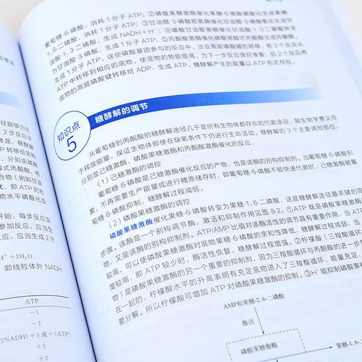 正版 生物化学知识清单 刘洪艳 分子生物学 高级生物化学 生物化学知识清单 生物化学教程 生物化学知识点配套例题与解析应用书籍 商品图2
