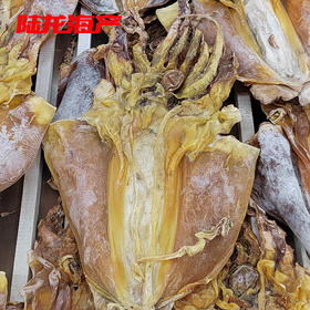 51198散装特大淡墨鱼鲞