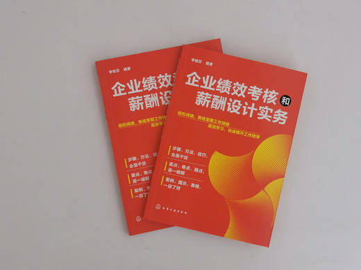 企业绩效考核和薪酬设计实务 薪资绩效方案设计书籍 企业绩效量化考核薪酬管理方案 岗位量化绩效表?企业绩效考核薪酬入门级指导书 商品图2