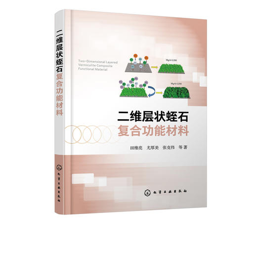 二维层状蛭石复合功能材料 纳米功能材料层状功能材料性质应用 复合功能材料层状功能材料概述 蛭石改性吸附催化方面技术应用书籍 商品图5