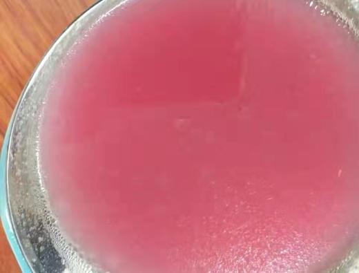 安叶家自产红菇100g/份）/200g 商品图4