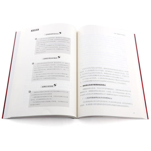 管理核能 如何以激励和绩效促进企业发展 企业管理保证企业发展战略目标落地 企业绩效管理 绩效考核体系员工激励人力资源应用书籍 商品图4