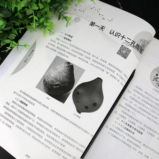 陶笛自学一月通 陶笛演奏教程快速入门 中国民族管乐器吹奏技巧教程乐理知识书籍 陶笛从入门到精通 十二孔陶笛基础自学教程书籍 商品图4