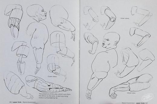 预售 【中商原版】Morpho: Fat and Skin Folds 进口艺术 形态:脂肪和皮肤褶皱 商品图5