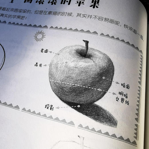 儿童绘画入门教程 全5册 儿童零基础自学绘画教材 动物花鸟蔬果山水画法 少儿学水墨画基础技法教材书 中国国画素描彩铅漫画教程书 商品图1