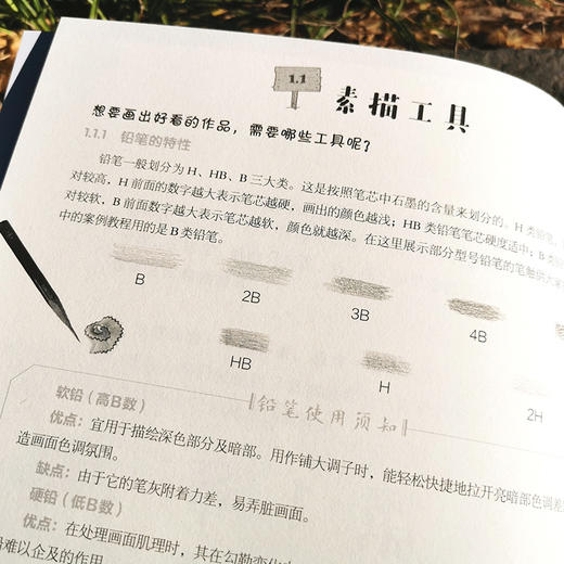 儿童绘画入门教程 素描 儿童零基础自学素描教材画谱 动物花鸟蔬果山水画法 少儿学素描画基础技法教材书 中国素描传统绘画教程书 商品图3