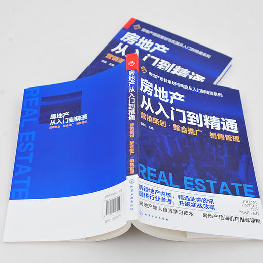房地产从入门到精通 营销策划 整合推广 销售管理 房地产基础知识入门培训一本通 品牌营销推广 房地产企业管理运营策划推广应用书 商品图4