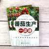 番茄生产一读通 西红柿优质栽培技术 番茄露地栽培番茄高效种植管理 番茄病虫害防治技术 专业菜农植保人员蔬菜企业技术人员参考书 商品缩略图2