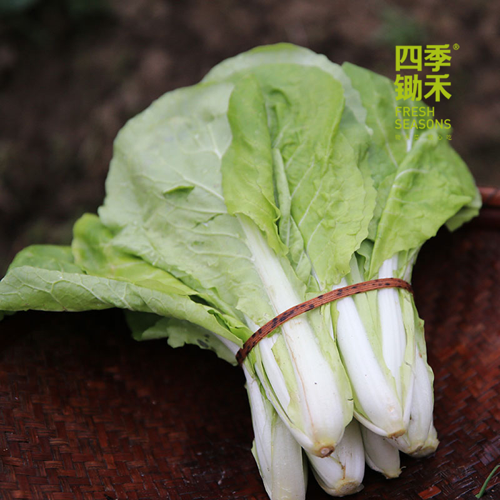 小茭菜（400g）（因是手工捉虫，虫眼较多）