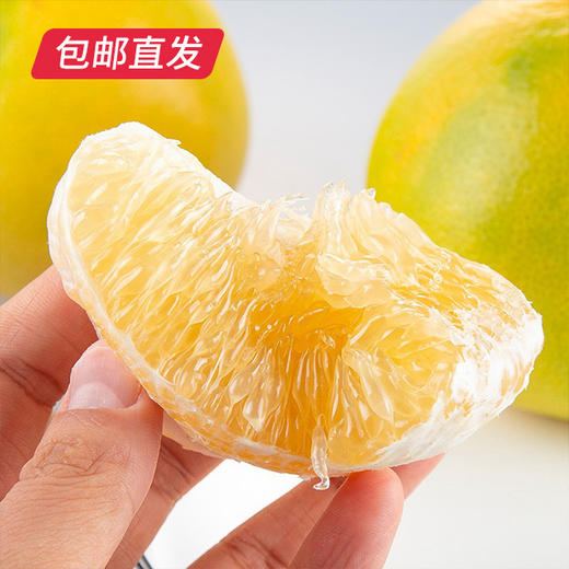 【包邮直发】福建黄金平和葡萄柚礼盒装 （约5斤/箱） 商品图1