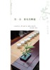 中国茶道•礼仪之道【园艺学会】 商品缩略图2