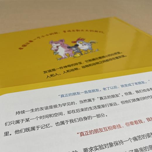 真正的朋友 3-6岁 揭示友谊的真谛 亲子阅读书籍 儿童绘本 商品图3