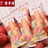 陈李济 陈皮山楂条 4种口味 健康零食无添加 商品缩略图4