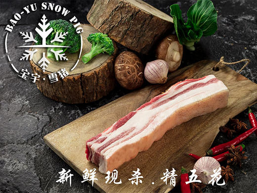 宝宇雪猪五花肉（排酸速冻） 商品图2