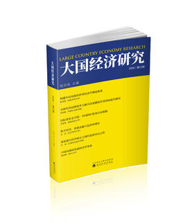 大国经济研究2020（第12辑）