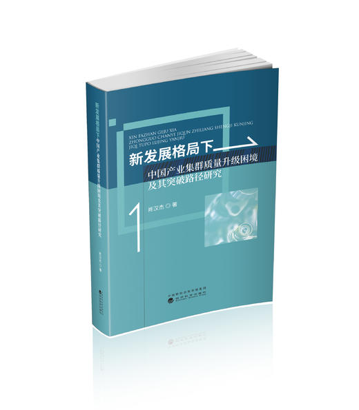 新发展格局下中国产业集群质量升级困境及其突破路径研究 商品图0