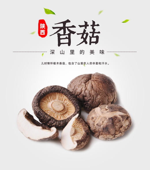 洋县香菇500g/袋 商品图1