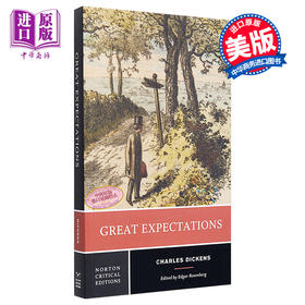 【中商原版】远大前程 诺顿文学解读系列 英文原版 Norton Critical Editions Great Expectations Charles Dickens