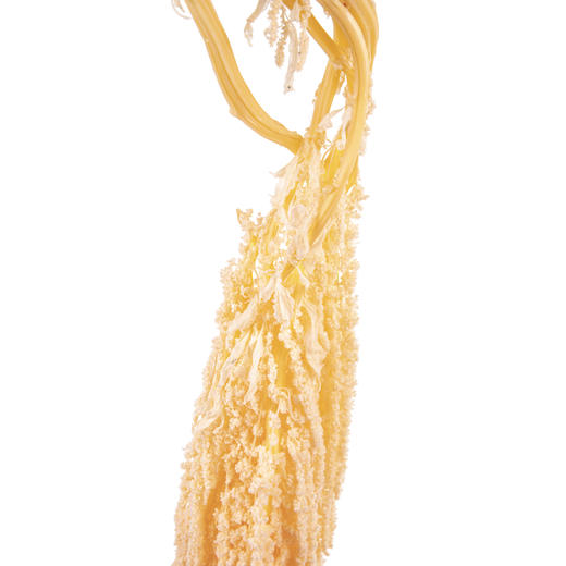 永生花材 ｜ 吊米橘子汽水 商品图2